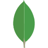 Mongodb
